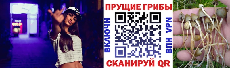 Галлюциногенные грибы GOLDEN TEACHER  ссылка на мегу tor  Юхнов 